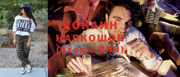 стаф Вязьма