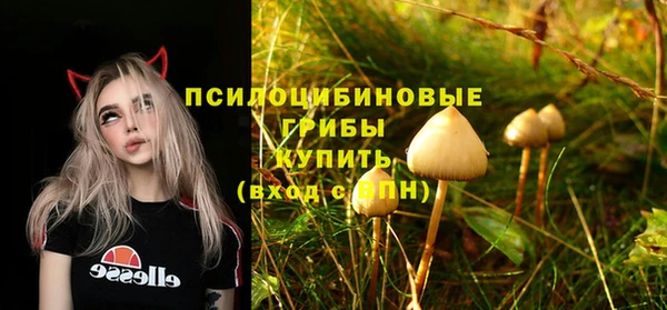 гидропоника Горно-Алтайск