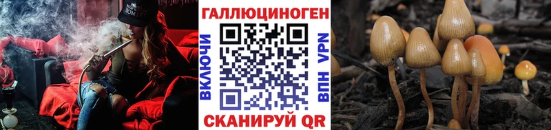маркетплейс клад  Белый  Псилоцибиновые грибы Psilocybe  купить   blacksprut рабочий сайт 